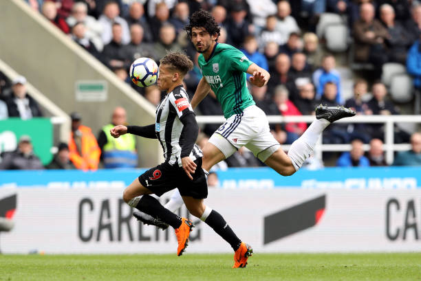 查和康复标 查和康复标